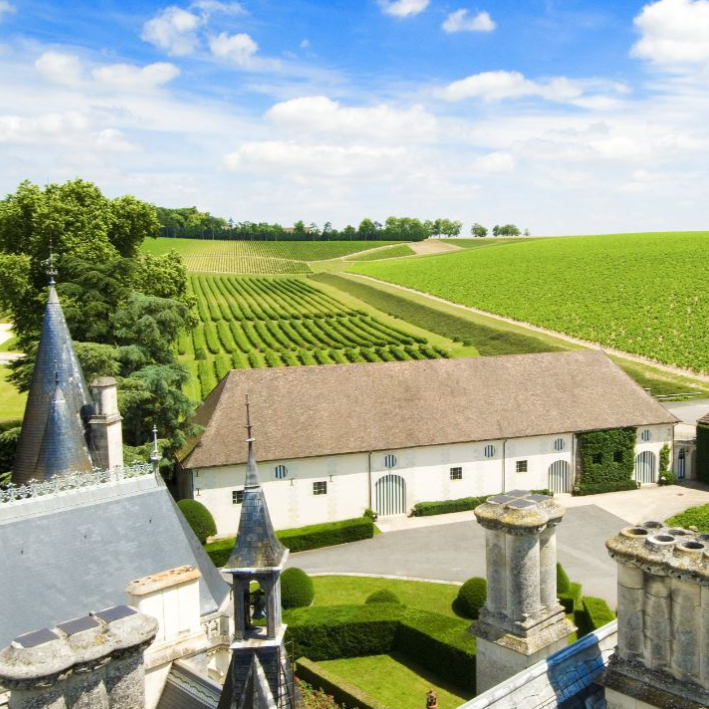 Aerial view of Domaine de Ladoucette, with the château, vineyards, and surrounding green hills in the scenic Loire Valley.