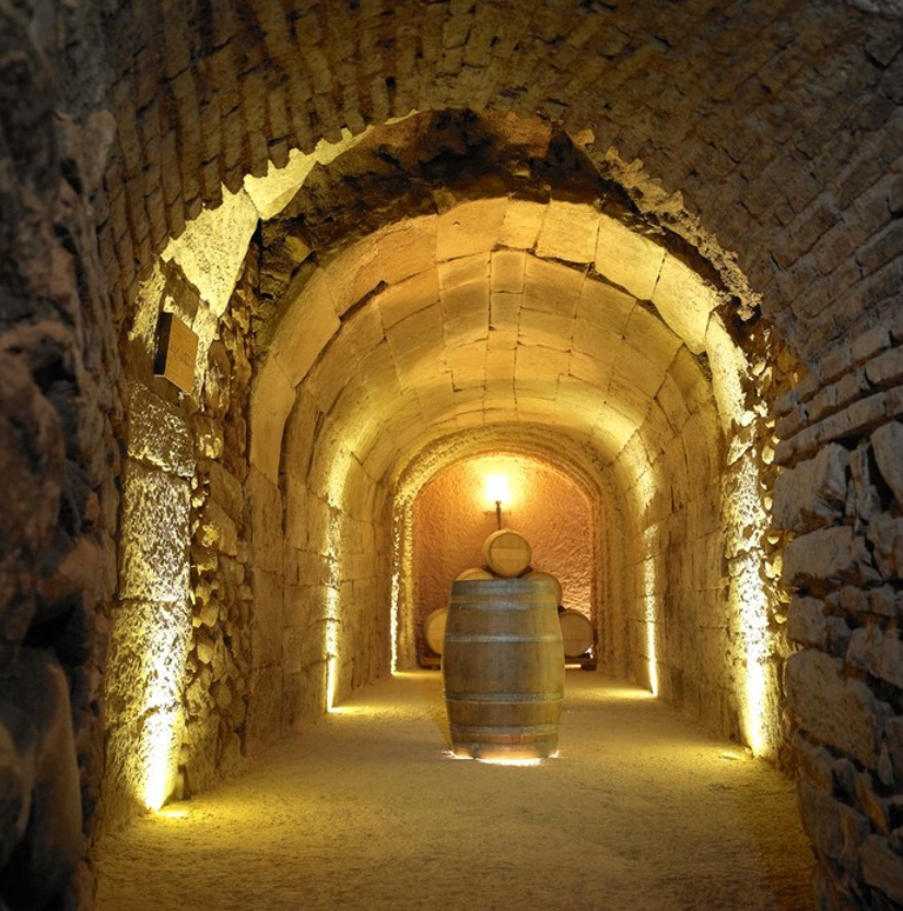 A beautifully lit wine cellar with arched brick ceilings, showcasing wine barrels at Marques winery.