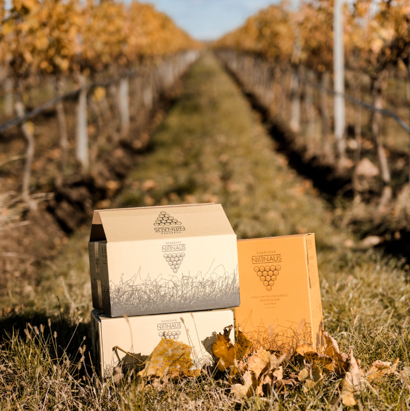 Autumn vineyard at Gebrüder Nittnaus estate with branded wine packaging, illustrating their dedication to quality wine production.