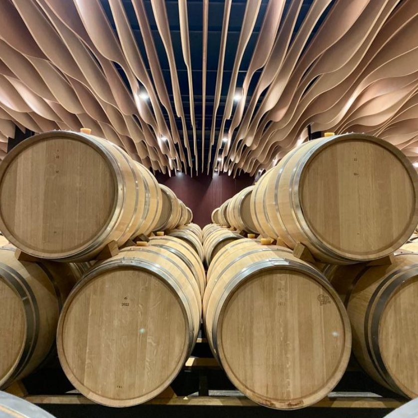 Rows of oak barrels in a sophisticated wine aging cellar with artistic ceiling design.