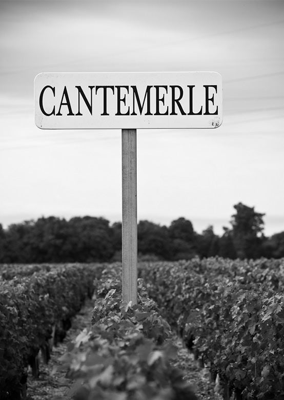 2015 Chateau Cantemerle, Les Allees de Cantemerle