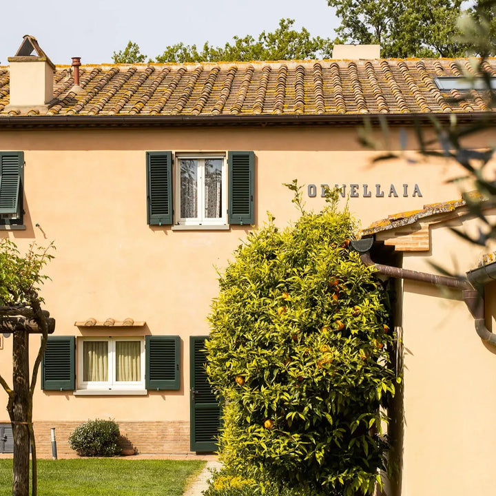 A picturesque view of the Ornellaia winery estate in Tuscany, Italy, featuring traditional architecture and lush greenery.