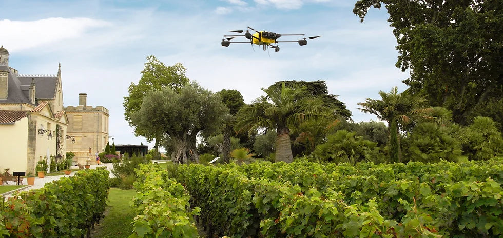 A drone flying over the Château Pape Clément vineyard, highlighting innovative viticulture techniques.