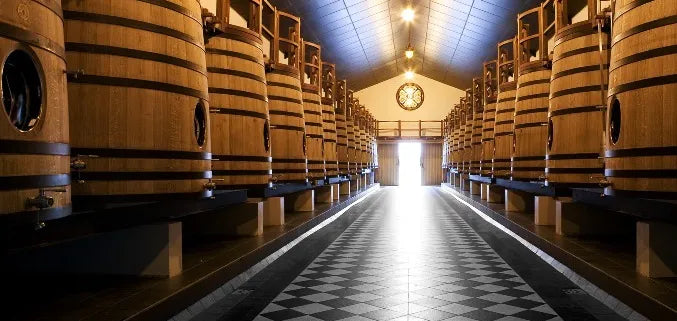 A stunning wine cellar with large oak barrels, showcasing the aging process at Château Pape Clément.