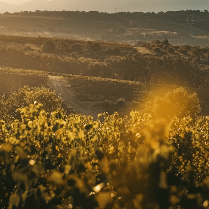 2021 La Ferme du Mont, Gigondas «Jugunda»