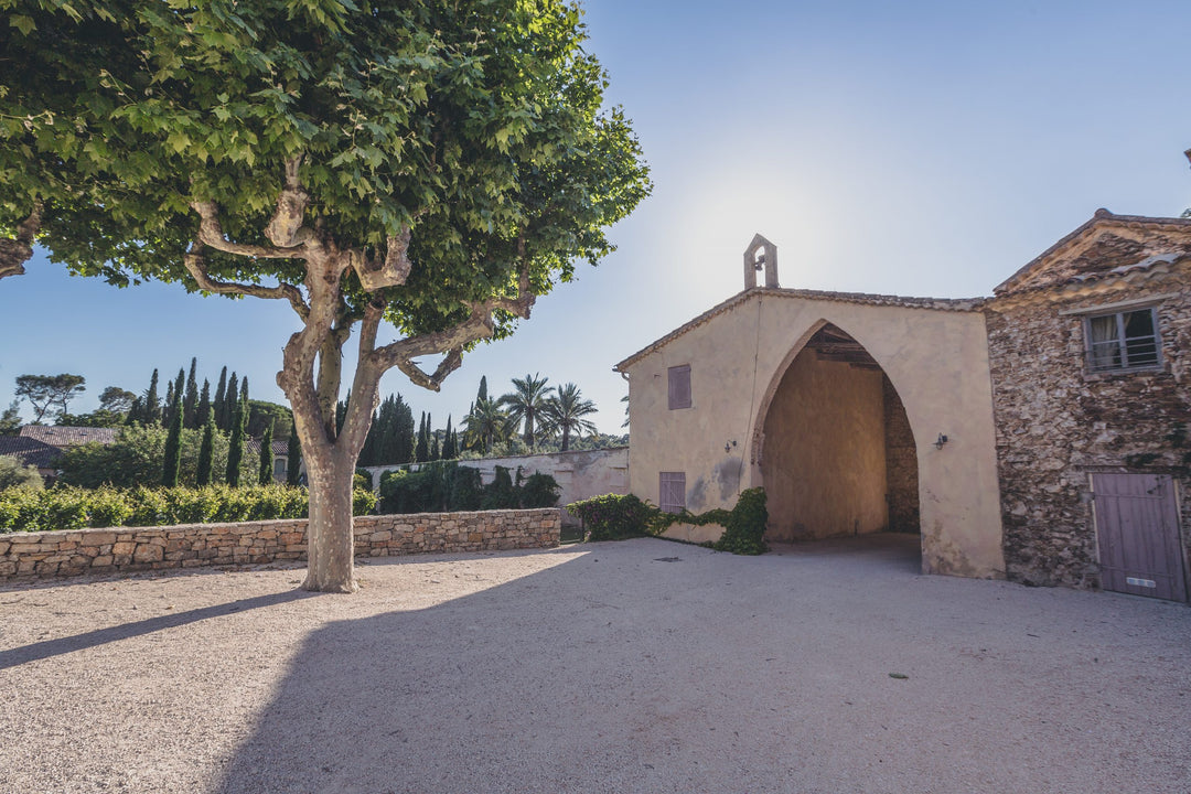 The entrance of a Provence winery, framed by a lush tree and rustic stone walls under a clear blue sky.