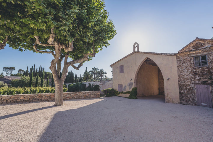 The entrance of a Provence winery, framed by a lush tree and rustic stone walls under a clear blue sky.