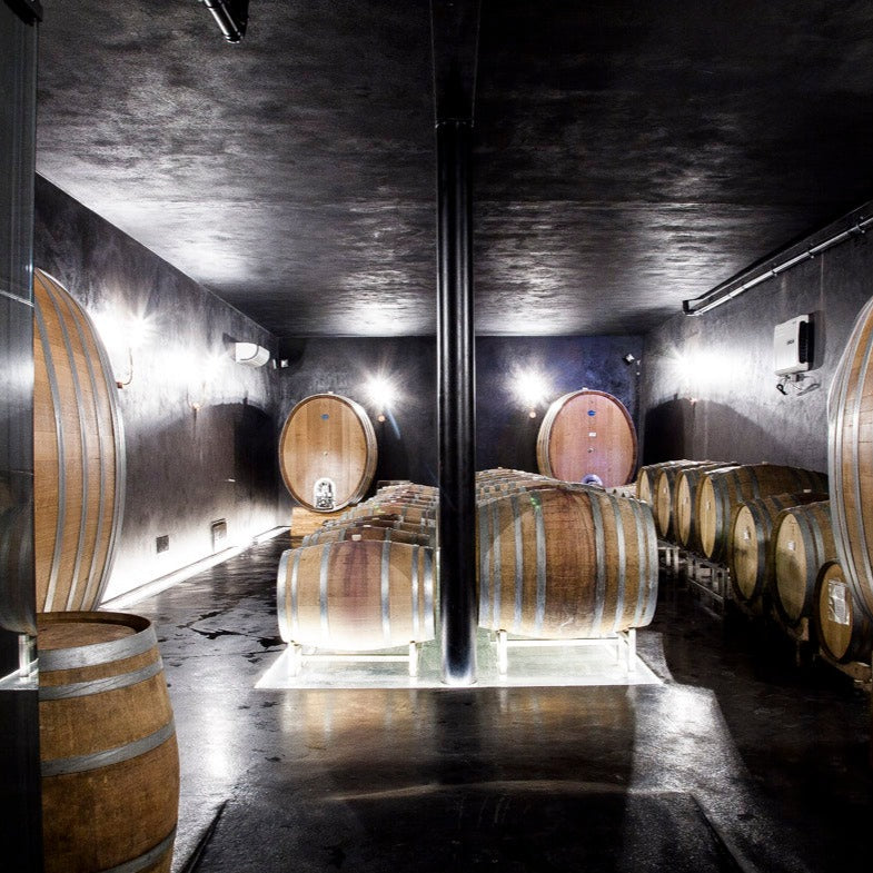 Modern wine cellar with wooden barrels at Réva estate.