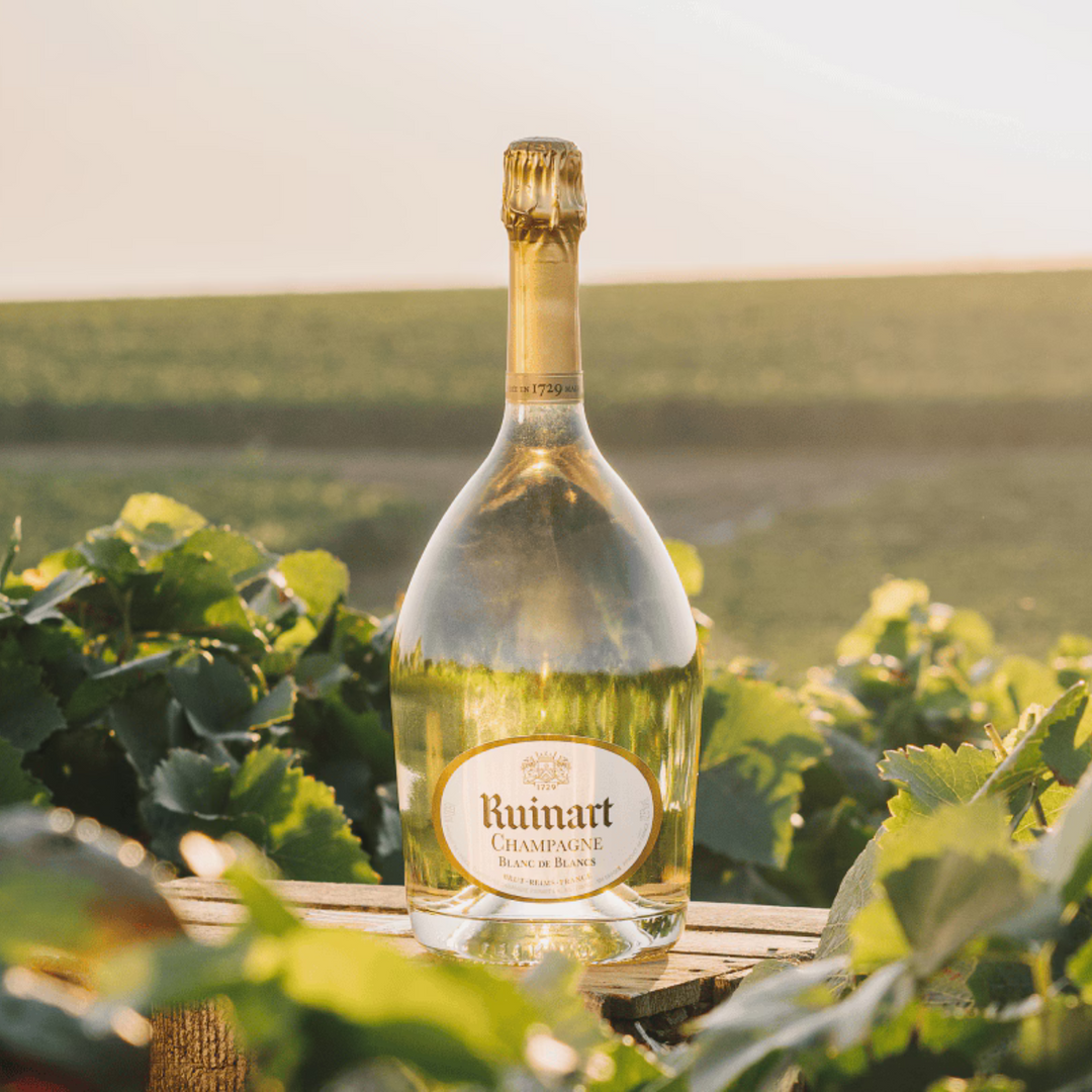 Ruinart Blanc de Blancs Champagne bottle glowing under natural sunlight in a lush vineyard setting.