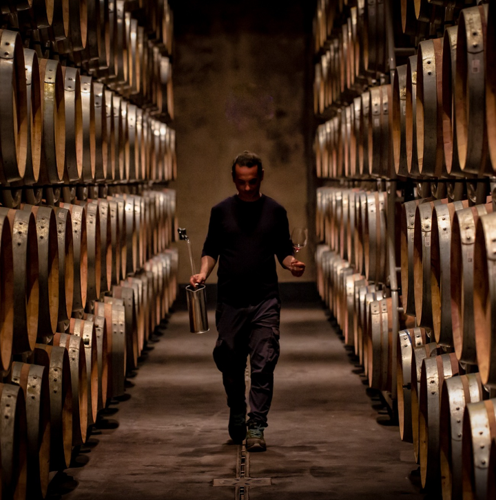 A winemaker walking through the dimly lit Sassicaia wine cellar, surrounded by aging barrels.