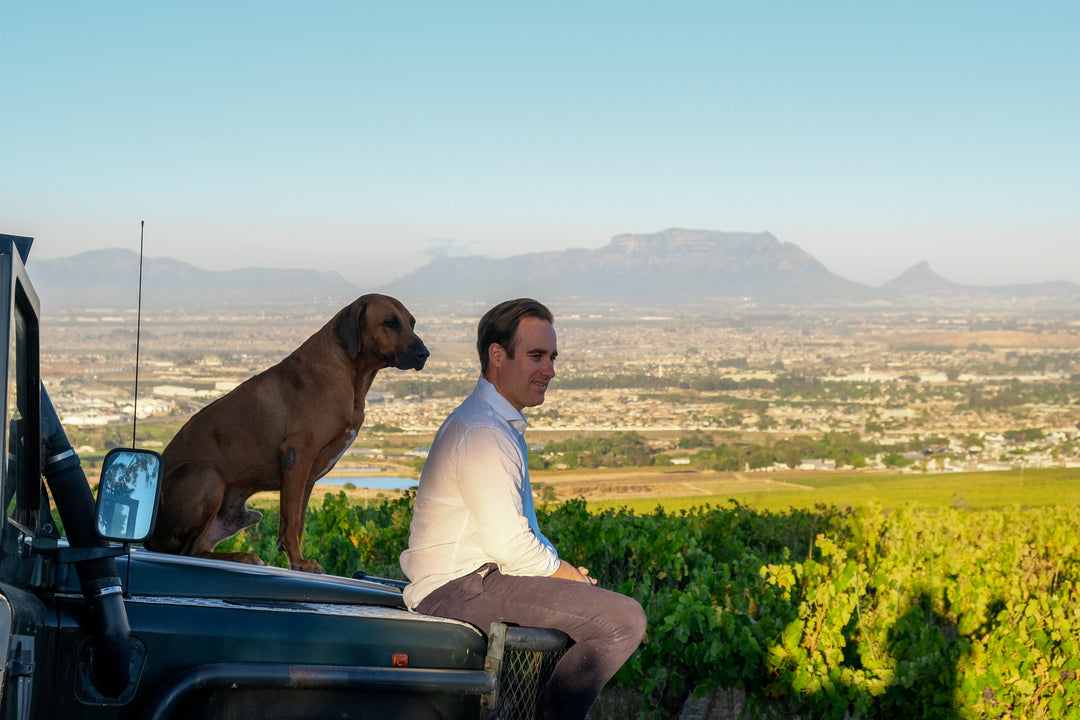 Vincent on a jeep with a dog, overlooking the scenic vineyards and landscape of Saxenburg Wine Estate.