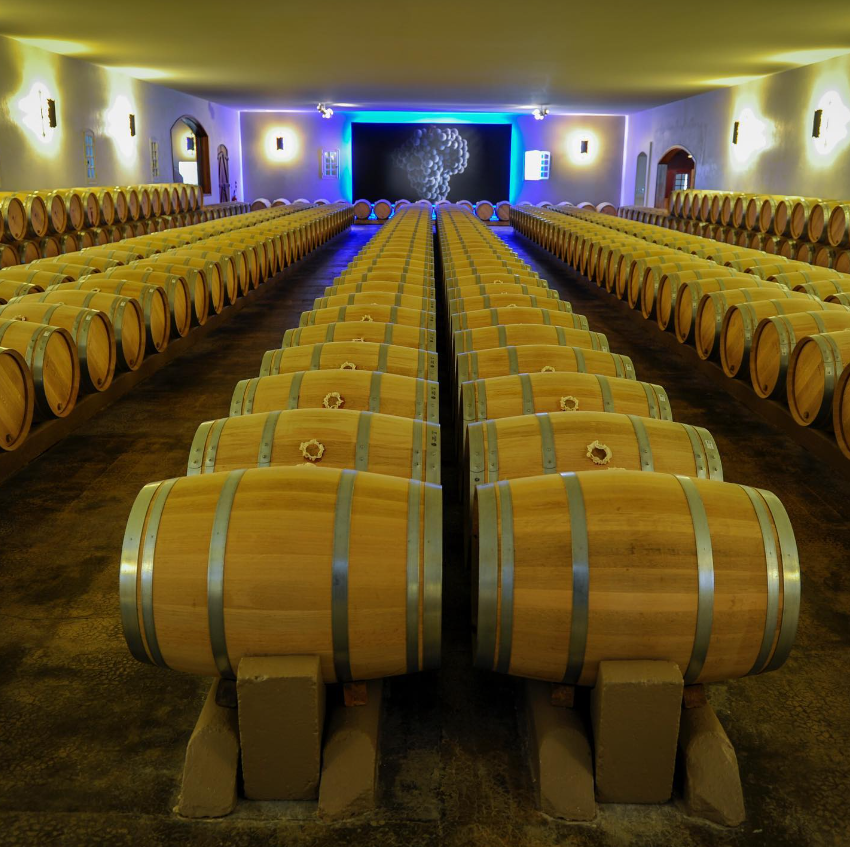 A well-lit barrel-aging room at Château Sociando-Mallet, where fine Bordeaux wines mature in oak barrels.