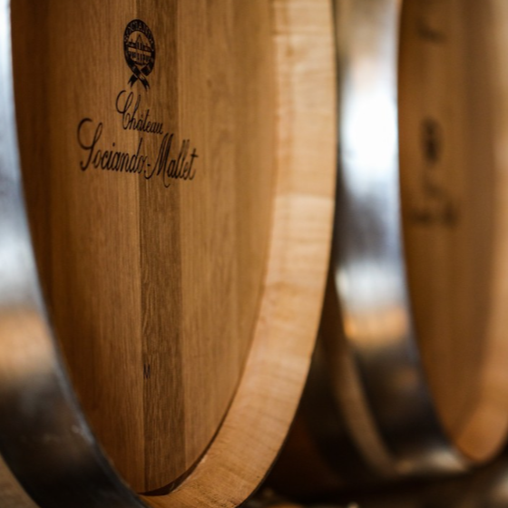 Close-up of Château Sociando-Mallet’s oak barrels, carefully crafted for aging fine Bordeaux wines.