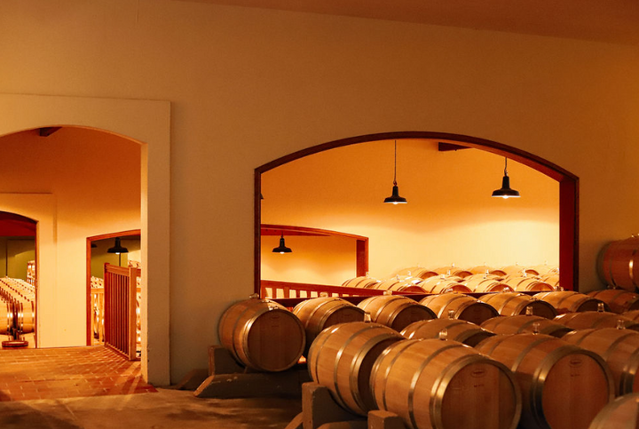 An elegant wine cellar at Château Sociando-Mallet, showcasing rows of oak barrels aging fine Bordeaux wine.