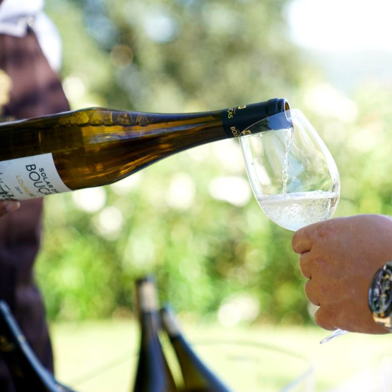 A close-up of a wine bottle pouring white wine into a glass outdoors, with a scenic green background.