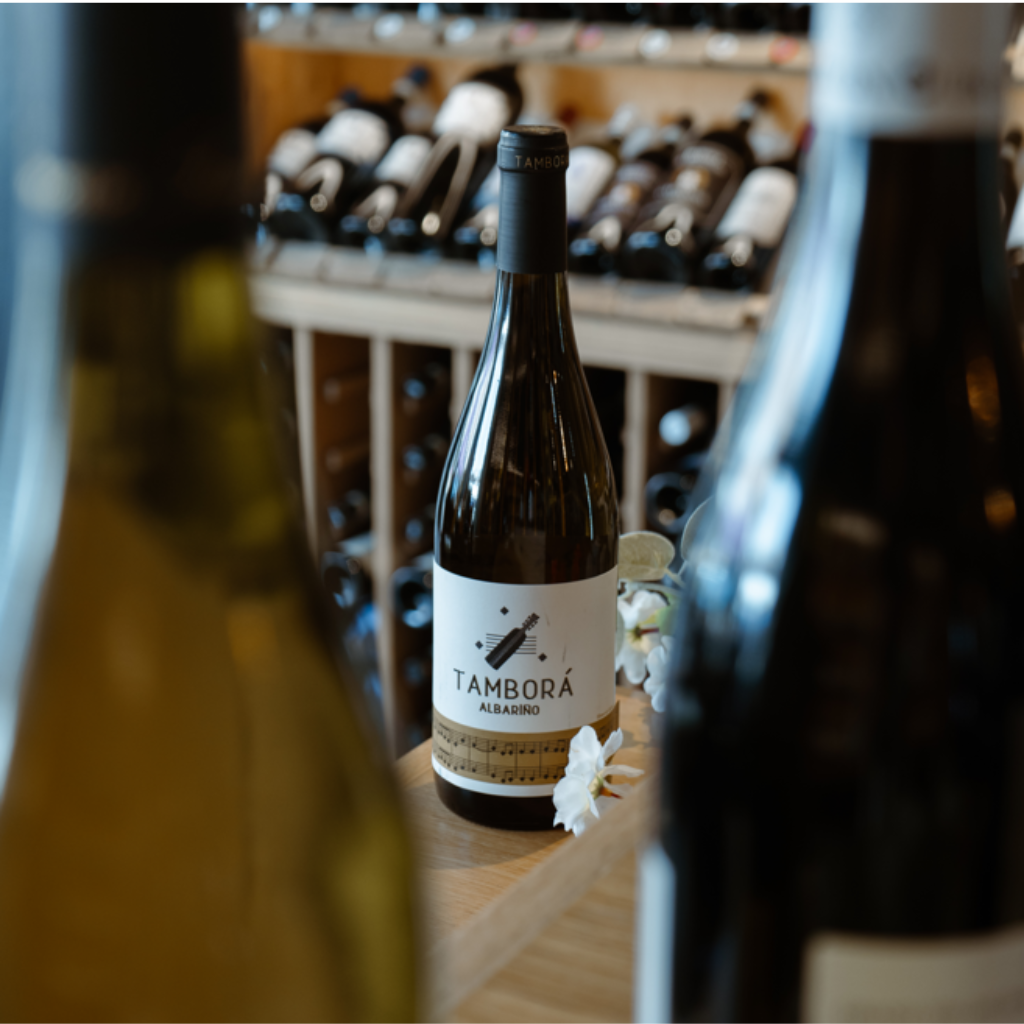 A Tamborá Albariño wine bottle displayed on a wooden shelf in a wine shop, surrounded by other wine bottles.