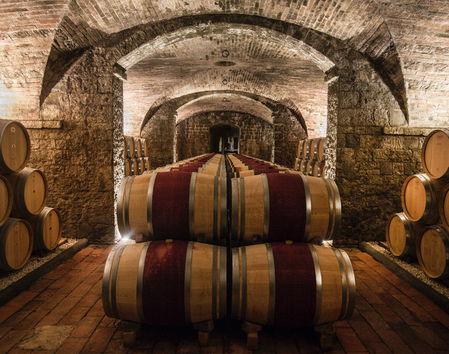 Aging barrels inside the historic Tignanello wine cellar, showcasing traditional winemaking techniques.