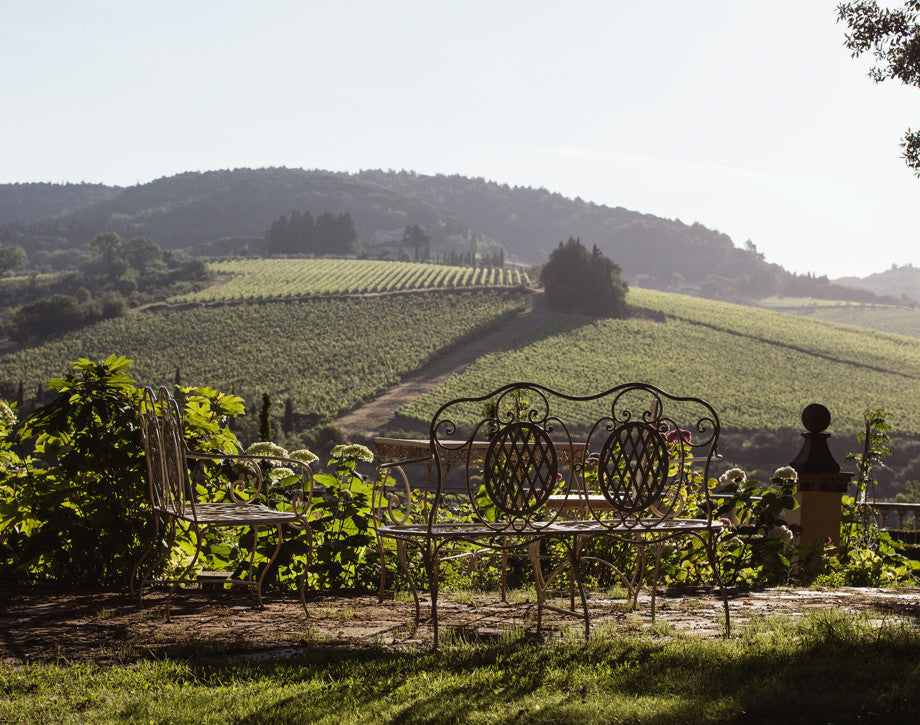 Serene view of the rolling hills in Tignanello vineyard, featuring classic Italian countryside scenery.