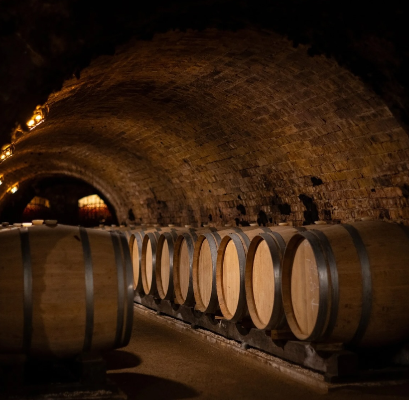 A historic brick-arched wine cellar lined with oak barrels, highlighting the aging process of fine wines.