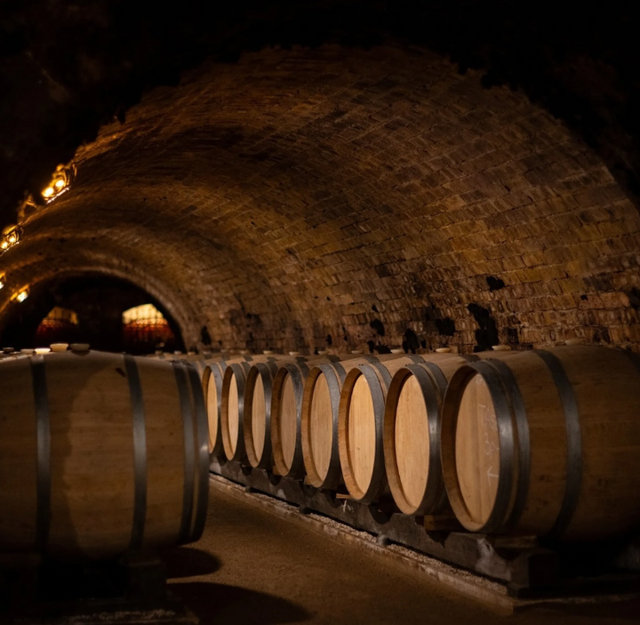 A historic brick-arched wine cellar lined with oak barrels, highlighting the aging process of fine wines.