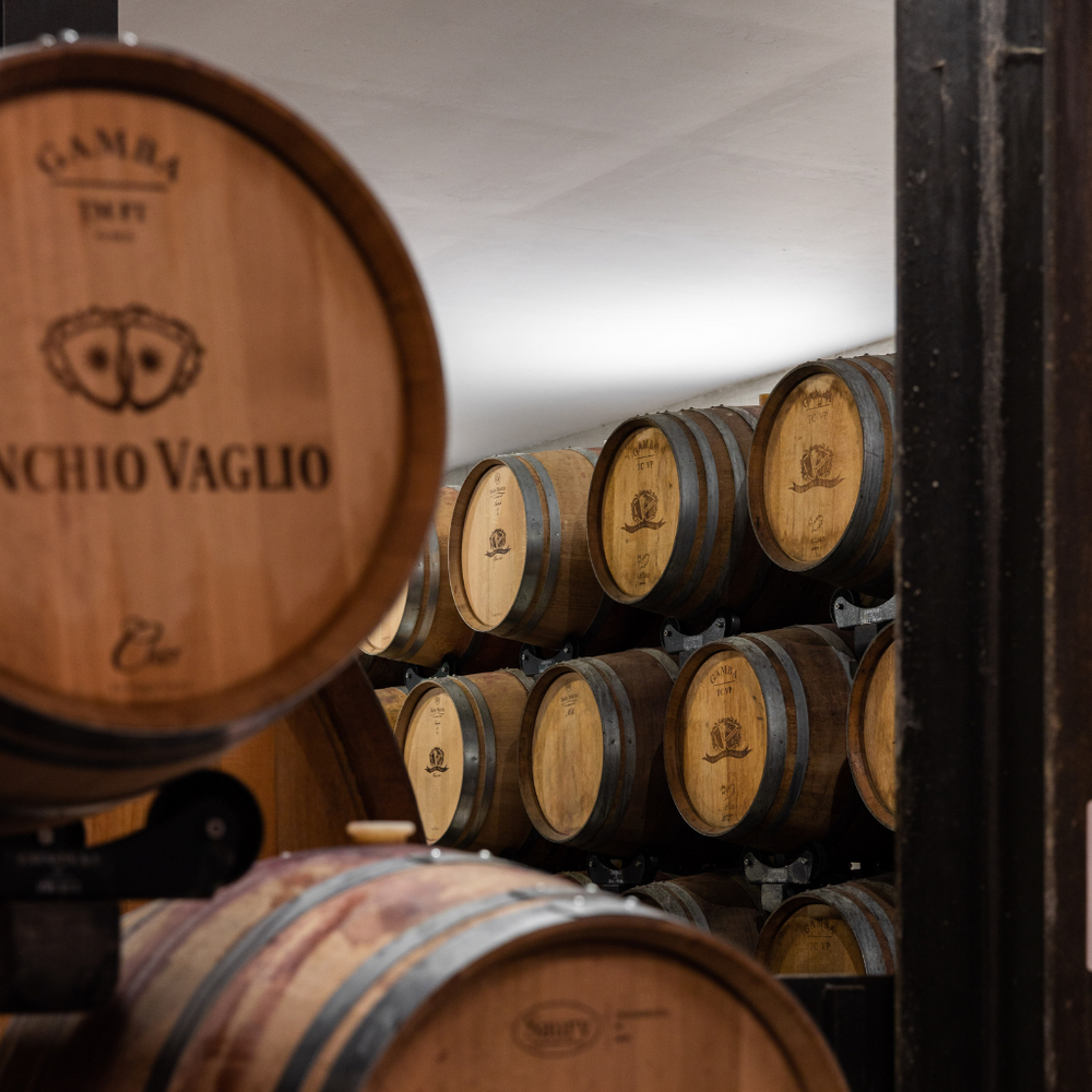 A serene wine cellar at Vinchio Vaglio showcasing traditional oak barrels used for ageing wine.