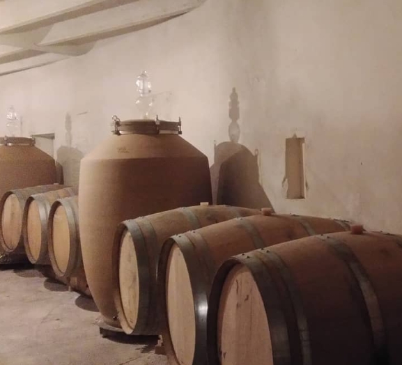 Wine aging in traditional clay amphoras and wooden barrels in a rustic cellar.