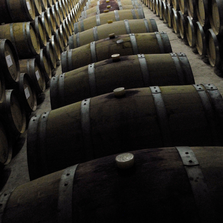 Rows of oak barrels in a wine-aging room, emphasizing the traditional process of maturing wine in wooden casks.