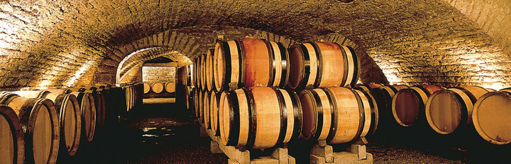 Underground wine cellar with rows of oak barrels aging wine in a stone-arched environment.