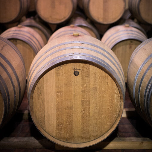 Rows of oak barrels in a wine cellar, used for aging wine.